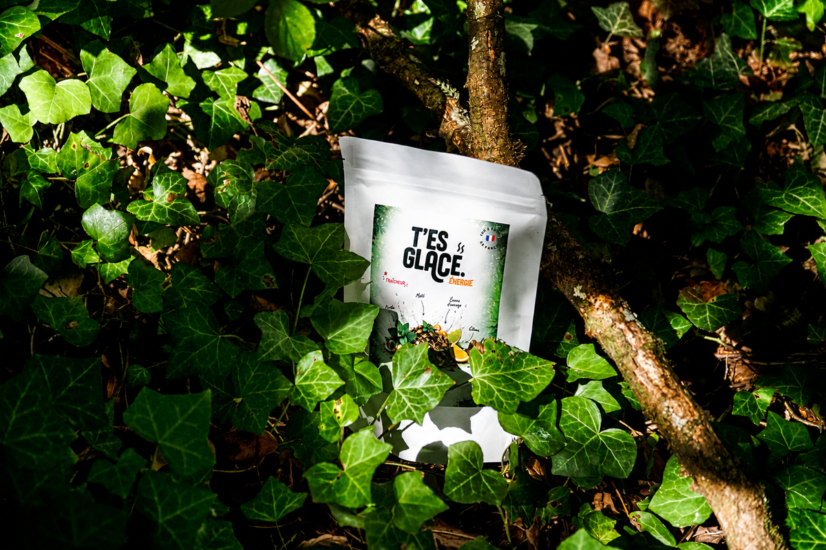 T'es Glacé Énergie · Maté Menthe & Citron